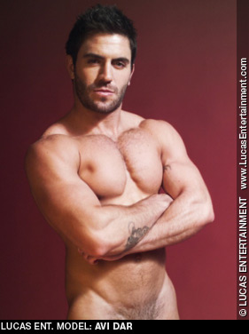 Avi Dar - Isreali Lucas Entertainment Gay Porn Performer