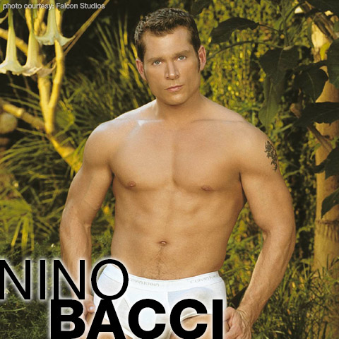 Nino Bacci Sexy Canadian Falcon Studios Gay Porn Star Gay Porn 100157 gayporn star