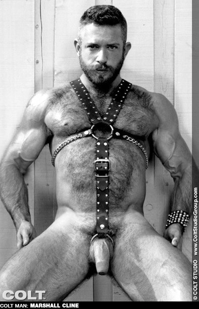 Marshall Cline Hairy Handsome Uncut Colt Studio Model Gay Porn Star Gay Porn 100326 gayporn star