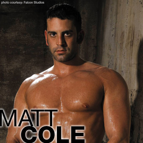 Matt Cole Handsome American Gay Porn Star Gay Porn 100333 gayporn star Gay Porn Performer