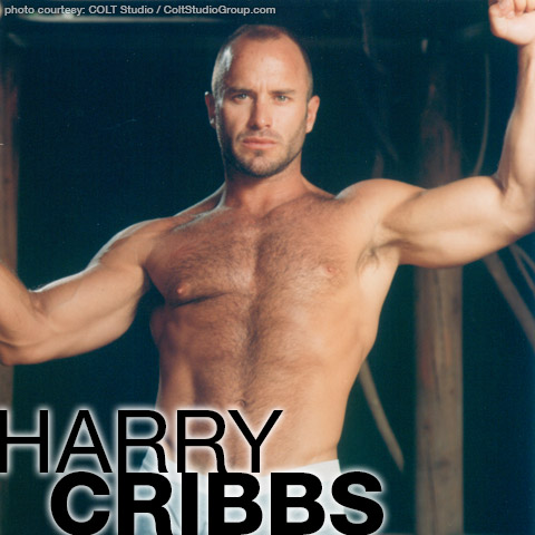Harry Cribbs Colt Studio Model Gay Porn Star Muscle Stud Gay Porn 100374 gayporn star