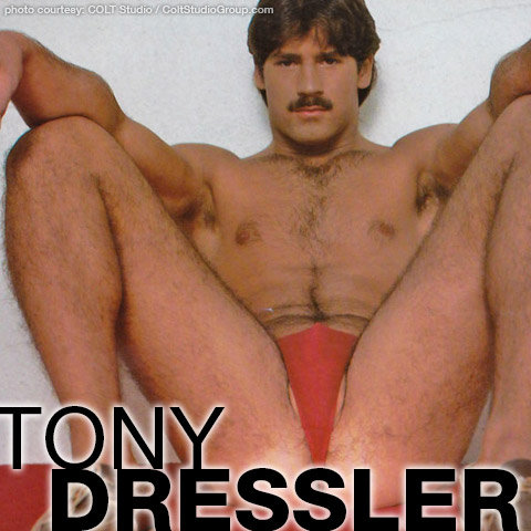 Tony Dressler Handsome Colt Studio Model Gay Porn Star Gay Porn 100471 gayporn star