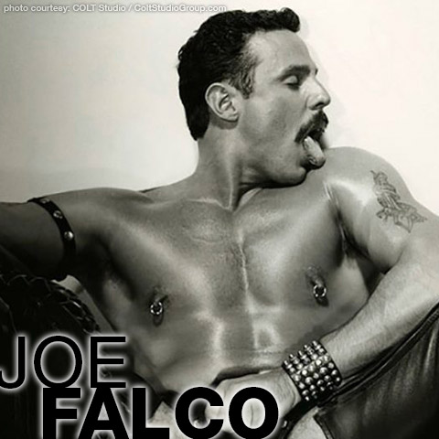 Joe Falco Peter Morrison Colt Studio Model Gay Porn Star Gay Porn 100499 gayporn star