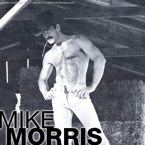 Mike Morris Colt Studio Model Gay Porn Star Gay Porn 100894 gayporn star