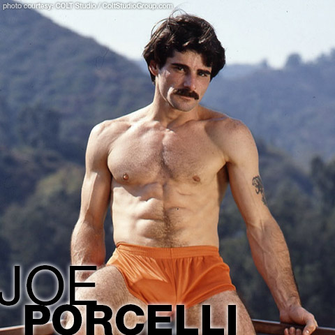 Joe Porcelli Colt Studio Model Gay Porn Star Gay Porn 100983 gayporn star