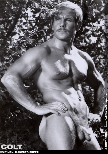 Manfred Speer German Muscle Colt Studio Model Gay Porn Star Gay Porn 101160 gayporn star