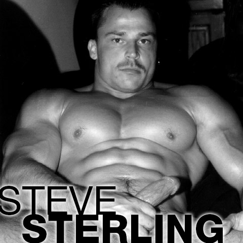 Steve Sterling Bodybuilder Bondage Wrestling Muscle Gay Porn Star Gay Porn 101184 gayporn star