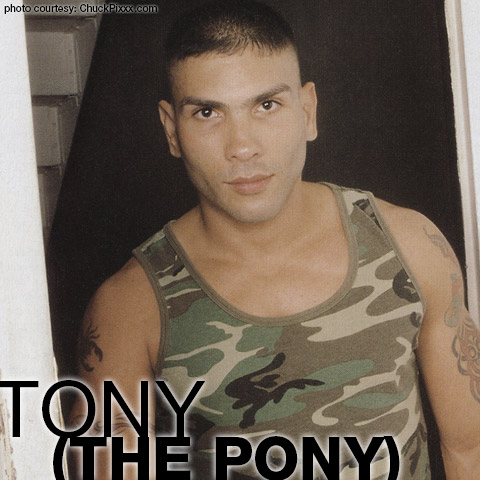 Tony the Pony American Gay Porn Star 101250 gayporn star