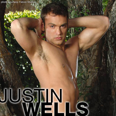 Justin Wells Falcon Studios American Gay Porn Star Gay Porn 101309 gayporn star