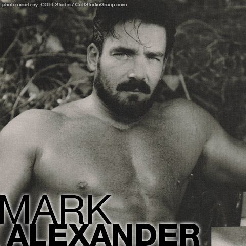 Mark Alexander Macho Beard Colt Studio Model Gay Porn Star Gay Porn 101373 gayporn star