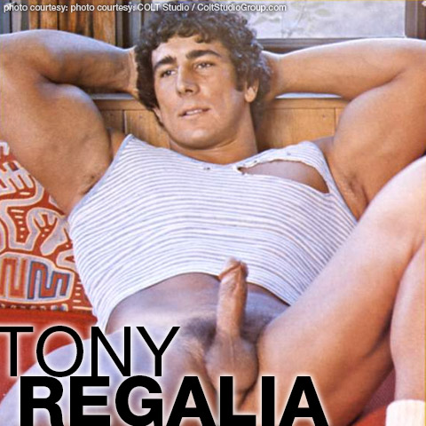 Tony Regalia Colt Studio Bodybuilder Model Gay Porn Star Gay Porn 101703 gayporn star