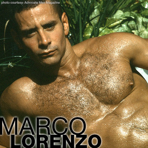 Marco Lorenzo Latin Hunk Advocate Men Model Gay Porn 102238 gayporn star