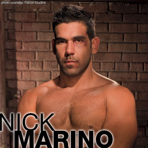 Nick Marino Handsome Latin American Gay Porn Star Gay Porn 102996 gayporn star Gay Porn Performer