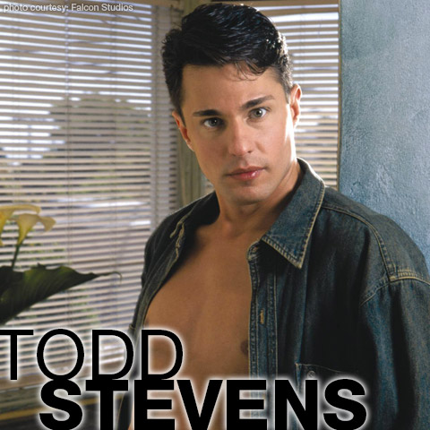 Todd Stevens Handsome Big Dick American Gay Porn Star Gay Porn 103156 gayporn star