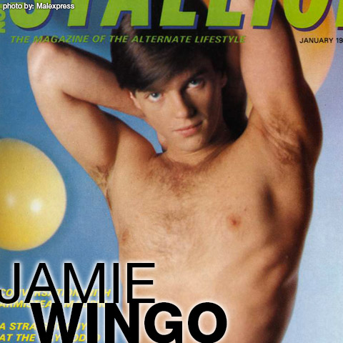 Jamie Wingo American Gay Porn Star Gay Porn 109401 gayporn star