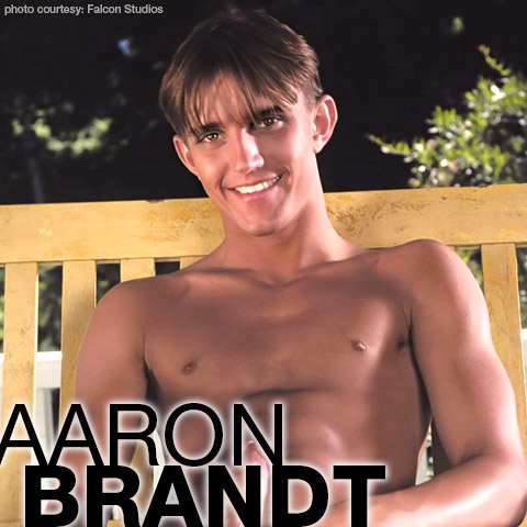 Aaron Brandt American Gay Porn Star Gay Porn 111403 gayporn star