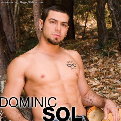 Dominic Sol Domonic Sol Handsome Muscle American Gay Porn Star Gay Porn 114330 gayporn star Gay Porn Performer