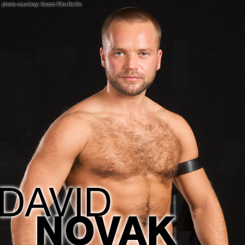 European Cazzo Film Berlin David Novak Hairy Polish Gay Porn Star 