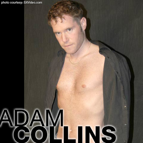 Adam Collins American Bareback Gay Porn Star Gay Porn 128793 gayporn star