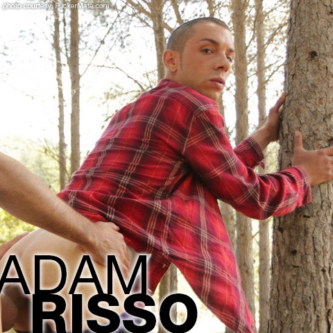 Adam Risso FuckerMate Spanish Gay Porn Star Gay Porn 130138 gayporn star