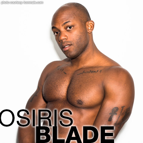 Osiris Blade Black American Muscle Gay Porn Star Gay Porn 131610 gayporn star