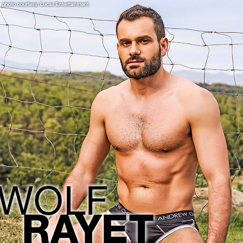Wolf Rayet British Daddy Gay Porn Star Gay Porn 131688 gayporn star