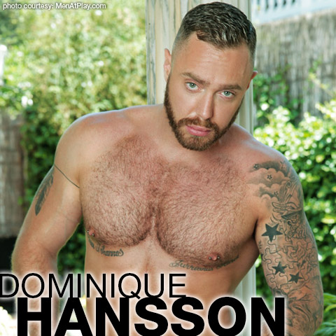 Dominique Hansson Men At Play Dutch European Gay Porn Hunk Gay Porn 132177 gayporn star