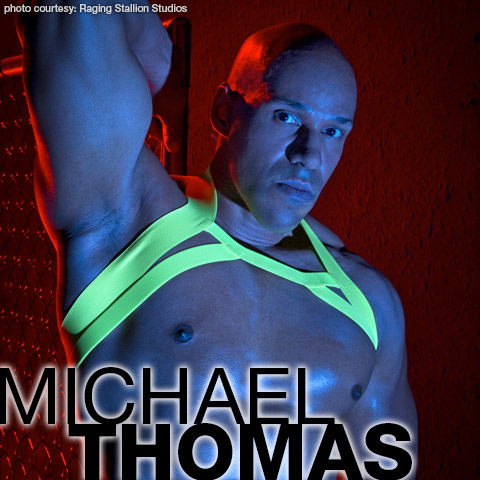 Michael Thomas Big Muscle Horse Hung Black American Gay Porn Star Gay Porn 132985 gayporn star