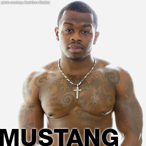 Mustang Hung Black American Bodybuilder Gay Porn Star Gay Porn 133070 gayporn star