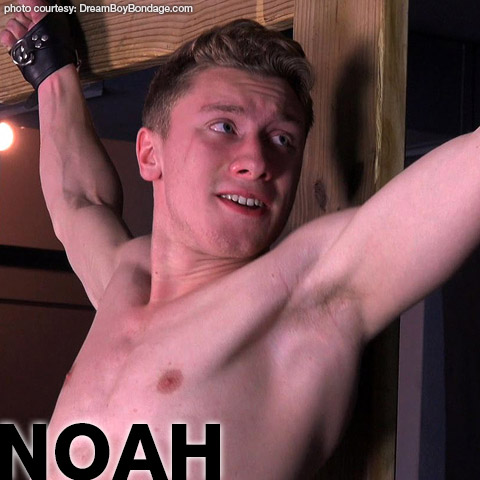 Noah Young Blond American Gay Porn Guy Gay Porn 133618 gayporn star