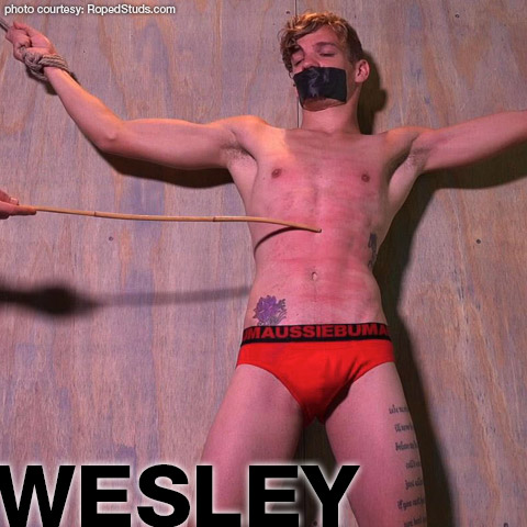 Wesley Young Blond American Gay Porn Guy Gay Porn 133626 gayporn star