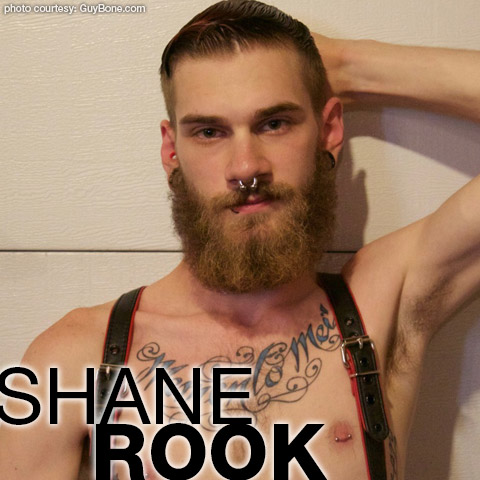 Shane Rook American GuyBone Gay Porn Dude Gay Porn 133706 gayporn star amateur Scruffy Otter