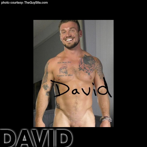 David 2 American Muscle Gay Porn Guy Gay Porn *NUMBER* gayporn star The Guy Site
