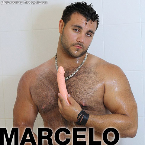 Marcelo American Muscle Gay Porn Guy Gay Porn 133884 gayporn star The Guy Site