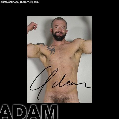 Adam American Muscle Gay Porn Guy Gay Porn 133886 gayporn star