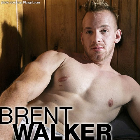 Brent Walker Hung Blond Handsome Playgirl Model Gay Porn 133919 gayporn star