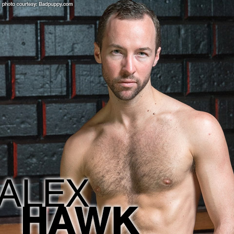 Alex Hawk Alex Hawke Badpuppy Gay Porn Star Gay Porn 134017 gayporn star