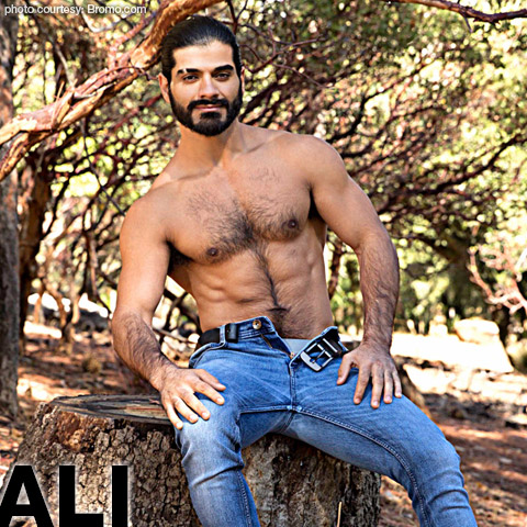 Ali Hairy American Gay Porn Star Gay Porn 134149 gayporn star Bromo bareback