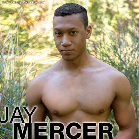 Jay Mercer American Cockyboys Gay Porn Star Gay Porn 134440 gayporn star