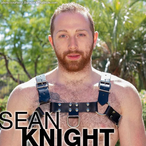 Sean Knight Hairy American Gay Porn Star Gay Porn 135275 gayporn star