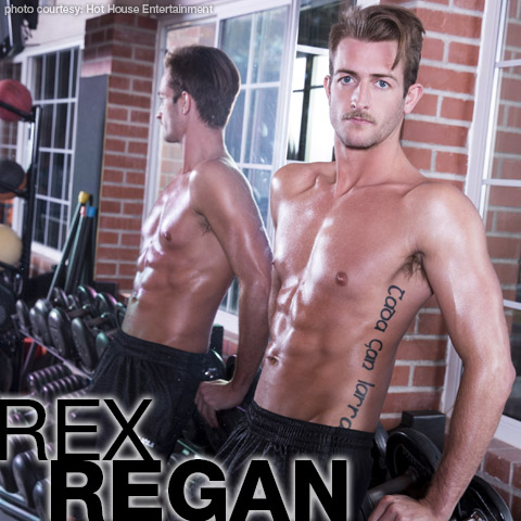 Rex Regan Hot House American Gay Porn Star Gay Porn 135357 gayporn star