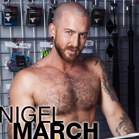 Nigel March Hairy American Gay Porn Star Gay Porn 135385 gayporn star