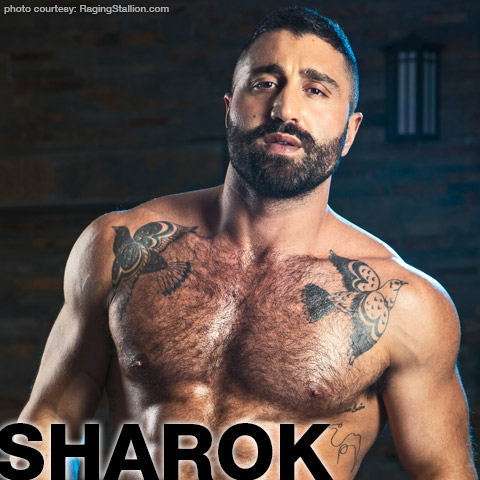 Sharok Handsome Escort and Gay Porn Star Gay Porn 135843 gayporn star