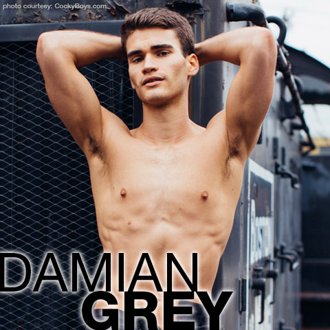 Damian Grey Handsome American CockyBoys Gay Porn Star Gay Porn 135987 gayporn star