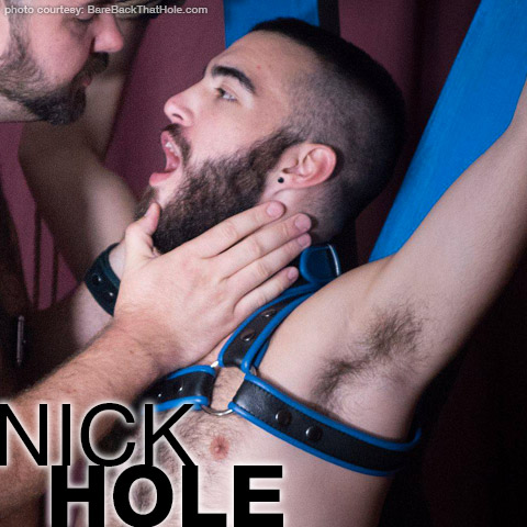 Nick Hole Hairy Bear Gay Porn Star Gay Porn 136171 gayporn star