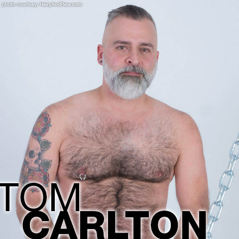 Tom Carlton Handsome Hairy Daddy Bear Gay Porn Star Gay Porn 136212 gayporn star