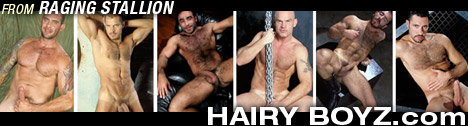 Raging Stallion's Hairy Boyz