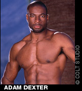 Adam Dexter