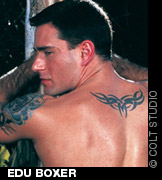 Edu Boxer