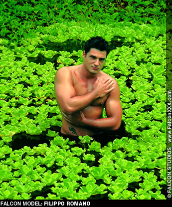 Filippo Romano - Gay Porn Performer 102437